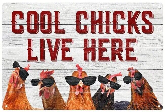 Cool Chicks Live Here Novelty Metal Sign 12 x 8 Wall Art Home & Garden:Home Décor:Plaques & Signs Cozy Home Treasures   