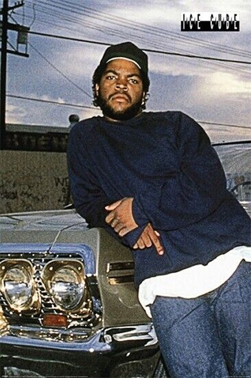 Ice Cube Poster 24" x 36" New! Art:Art Posters Cozy Home Treasures   