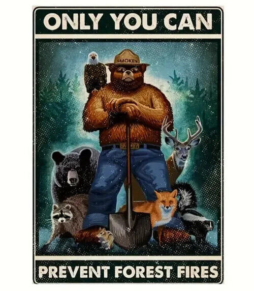 Only You Can Prevent Forest Fires Smokey The Bear Novelty Metal Sign 8" x 12" Home & Garden:Home Décor:Plaques & Signs Cozy Home Treasures   