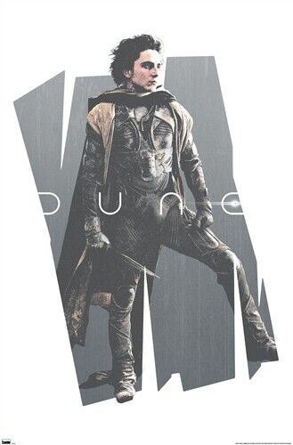 Dune: Part 2 - Paul Atreides Profile Movie Poster 22.375" x 34" NEW! Home & Garden:Home Décor:Posters & Prints Trends   