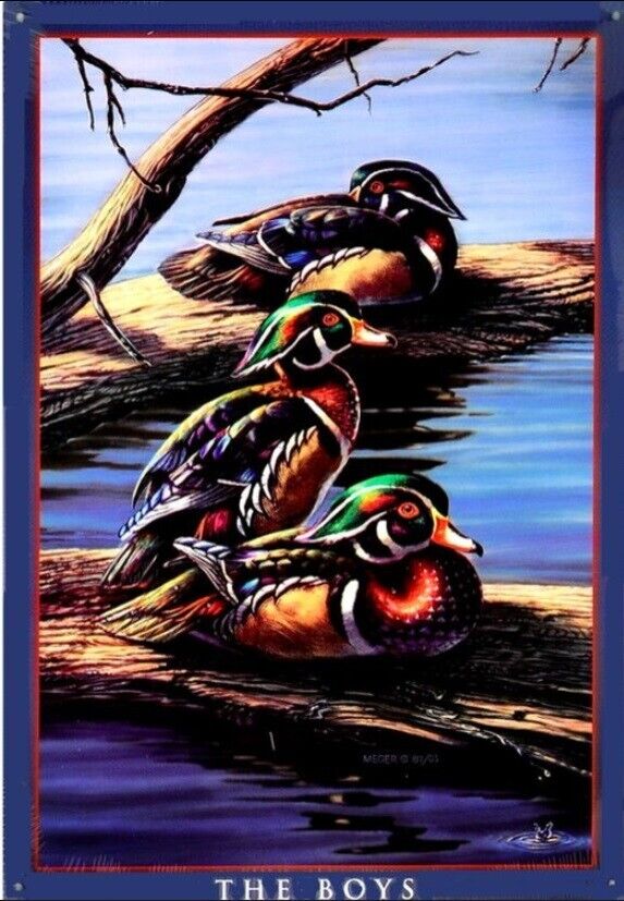 "The Boys" Three Ducks Novelty Metal Sign  12.5" X 17.4" NEW! Home & Garden:Home Décor:Plaques & Signs Cozy Home Treasures   