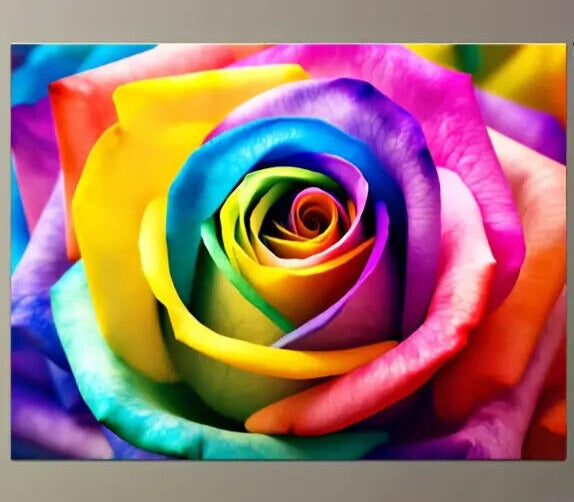 Colorful Rose Canvas Print Framed 12" x 16" Wall Art Home & Garden:Home Décor:Posters & Prints Unbranded   