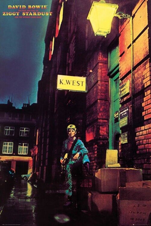 David Bowie Ziggy Stardust Poster 24" x 36" New! Art:Art Posters Cozy Home Treasures   