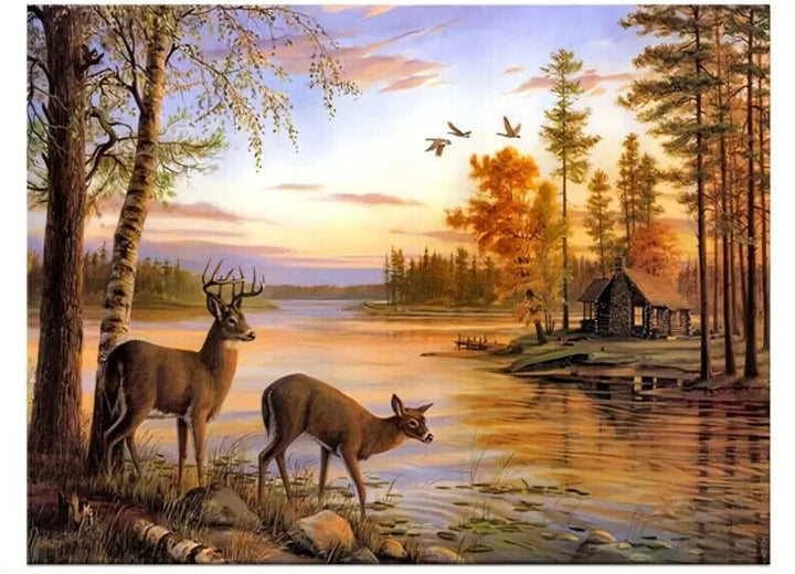 Scenic Deer Wildlife Canvas Print 16" x 24" Wall Art Home & Garden:Home Décor:Posters & Prints Unbranded   