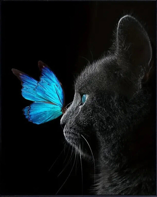 Blue Butterfly And Black Cat Stunning Vibrant Art Print 16" X 24" New! Art:Art Prints Cozy Home Treasures   