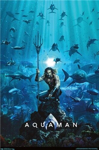 Aquaman Jason Momoa Movie Poster 22.375" x 34" NEW! Home & Garden:Home Décor:Posters & Prints Trends   