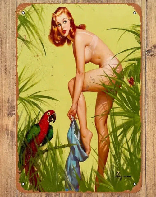 Funny Skinny Dipping Model Vintage Novelty Metal Sign 12" x 8" Wall Art Home & Garden:Home Décor:Plaques & Signs Cozy Home Treasures   