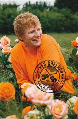 Ed Sheeran Rose Field Poster 22.375" x 34" NEW! Home & Garden:Home Décor:Posters & Prints Trends   