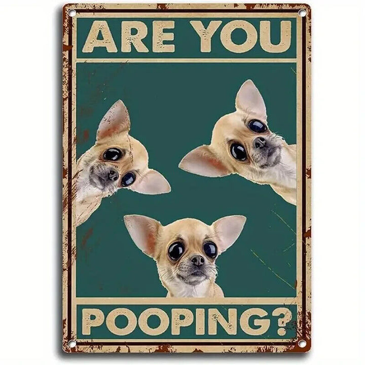 Chihuahua Dogs "Are You Pooping" Vintage Novelty 8" x 12" Metal Sign NEW! Home & Garden:Home Décor:Plaques & Signs Cozy Home Treasures   