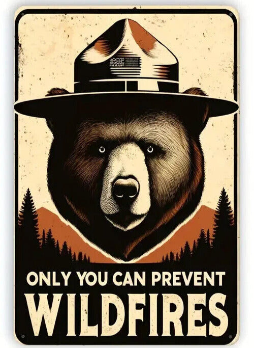 Only You Can Prevent Wildfires Smokey The Bear Novelty Metal Sign 8" x 12" Home & Garden:Home Décor:Plaques & Signs Cozy Home Treasures   